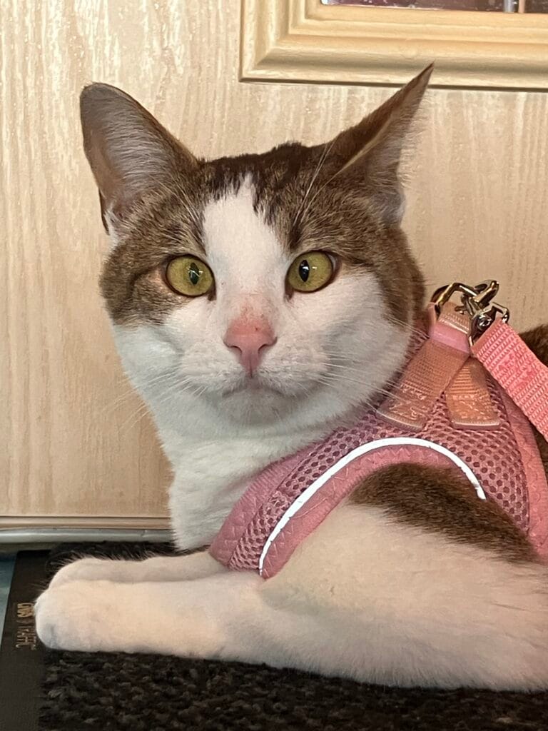 Edna